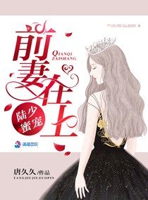 陆太太好久不见/陆少蜜宠:前妻在上