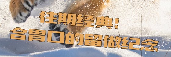往期經典！合胃口的，留做紀念