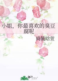 小姐，你最喜歡的臭豆腐呢